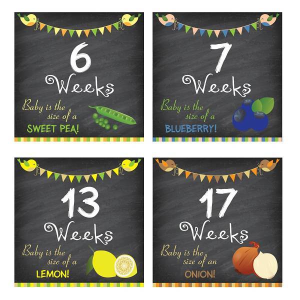 Pregnancy Weeks 6 through 10