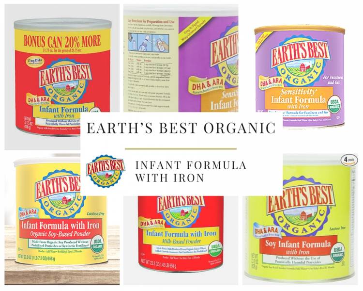 earth's best organic soy infant formula with iron