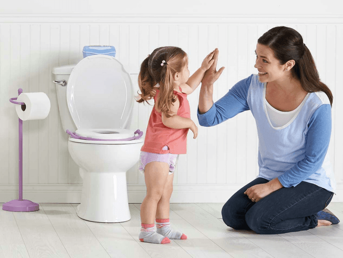 Potty training a toddler