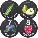 Belly Doodles 40 Weekly Pregnancy Stickers Fruit 3.94inch