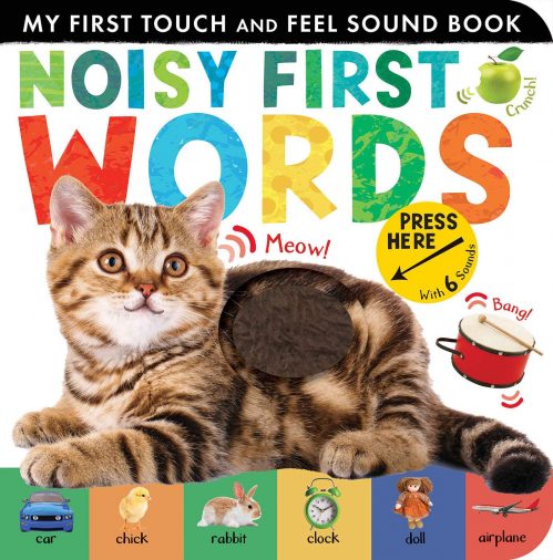 Noisy First Words: My First Touch and Feel Sound Book