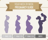 Pregnancy Week by Week: Week 1